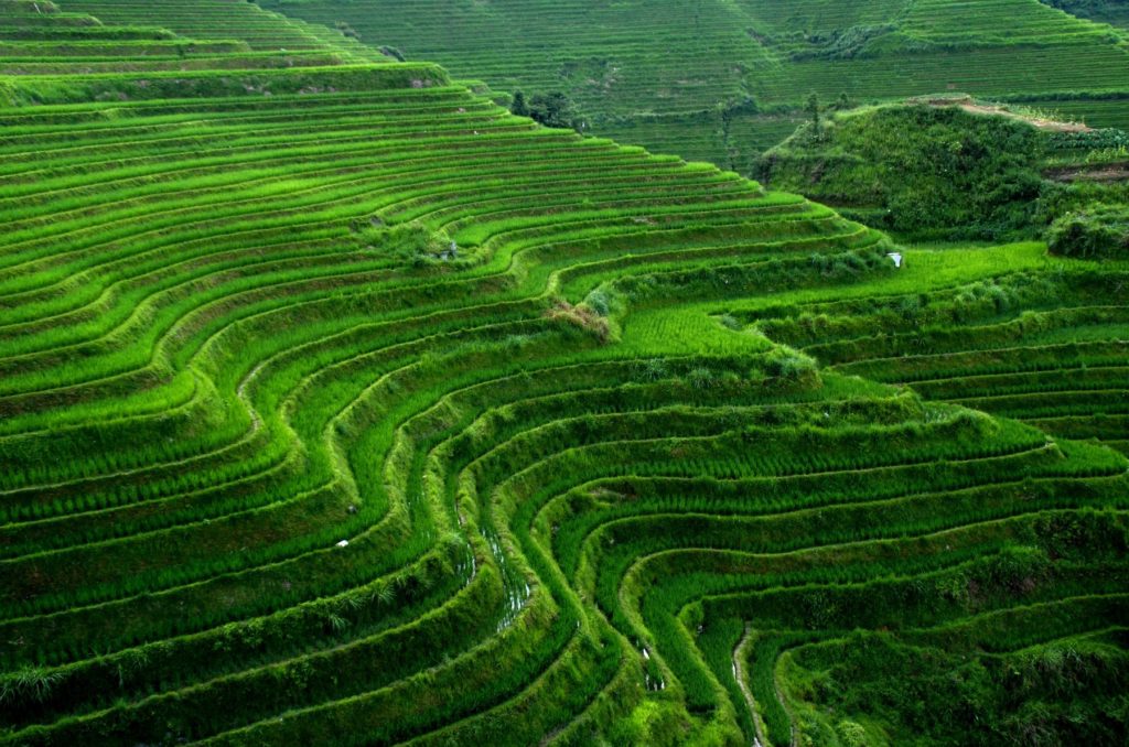 China Country Side Shanxi