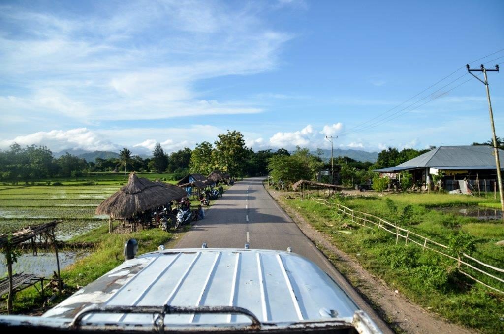 timor countryside